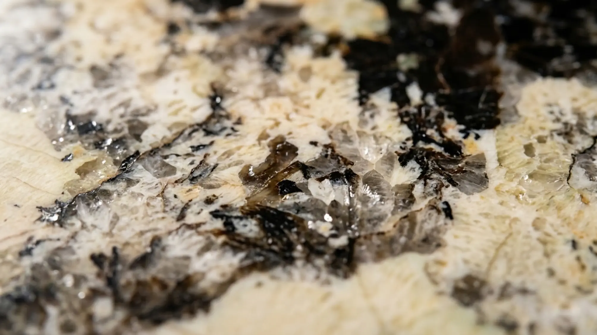 Patagonia Granite Care & Sealing Guide