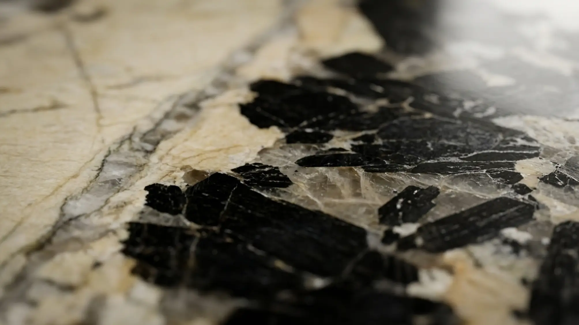 Patagonia Granite mineral detail with black crystal and ivory field